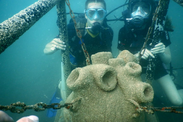 Фото - экскурсия: Погружение в Черное море с аквалангом