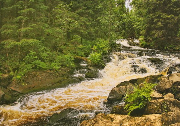 Дивный день в Карелии: водопады, хаски, водная прогулка на драккаре к форелевой ферме - фото 2