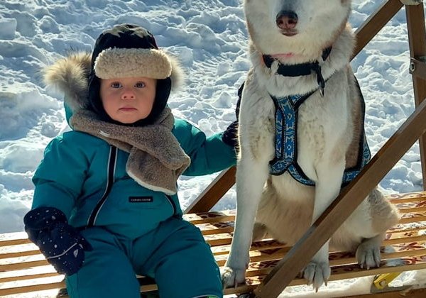 Катание на голубоглазых хаски и дегустация Приморских вин - фото 4