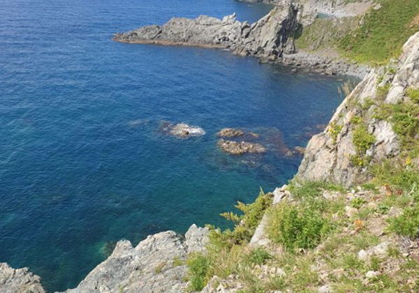 Экскурсия на катере на необитаемый остров Аскольд - фото 1