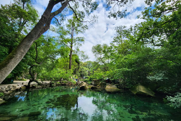 Фото экскурсии - Объехать Крым за 48 часов: Севастополь, Ялта, Бахчисарай, Феодосия и Алупка - 13