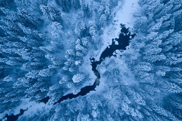 Фото - экскурсия: Трехдневное путешествие в Карелию раскрывает мощь северной природы