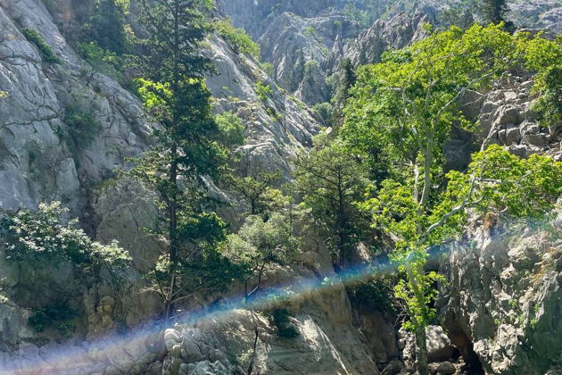 Фото экскурсии - Прогулка на лодке по Зеленому Каньону - 5