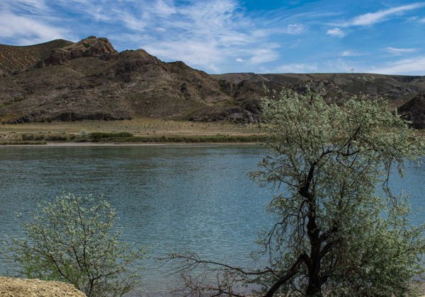 Замечательный купальный тур в теплое водохранилище Капшагай - фото 3