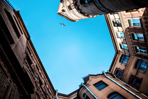 Фото экскурсии - Дворы, парадные и коммуналка Довлатова — самая петербургская прогулка - 10