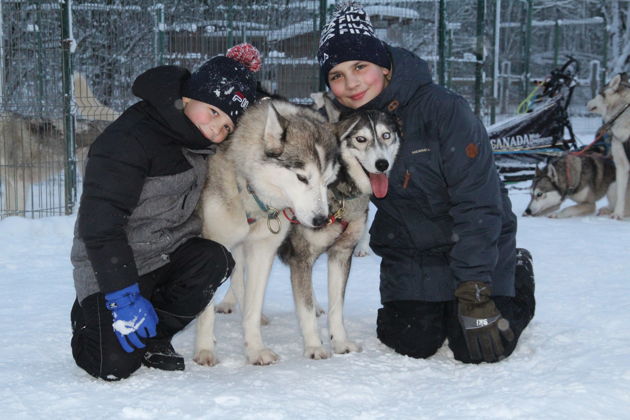 В гости к хаски из Петербурга-3