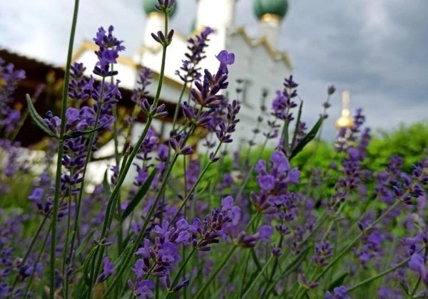 Экскурсия в Ростов Великий из Ярославля