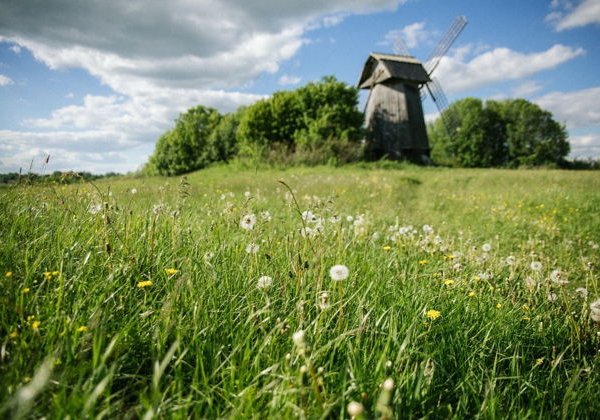 Пушкинские горы за 2 дня, экскурсия для школьных групп - фото 1