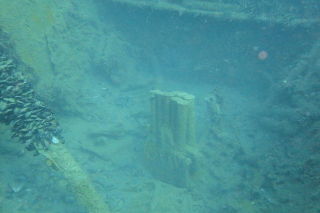 Фото экскурсии - Погружение с аквалангом в Кемере - 7