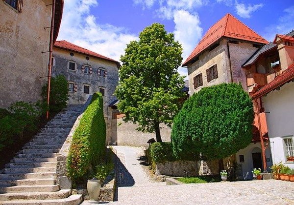 Горное озеро Блед, Радовлица, красота — красотища!  - фото 2