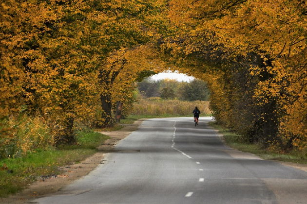 Фото экскурсии - Четыре города за день: Балтийск, Светлогорск, Зеленоградск и Янтарный - 8