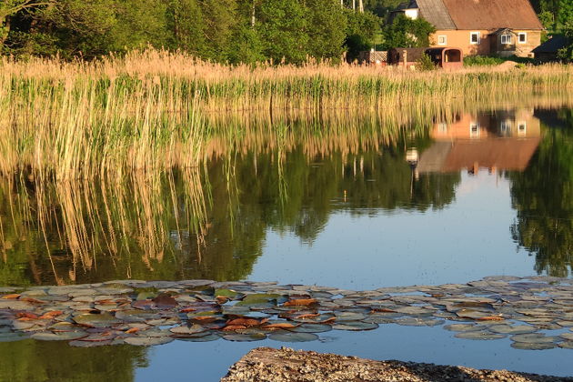 Фото экскурсии - Четыре города за день: Балтийск, Светлогорск, Зеленоградск и Янтарный - 9