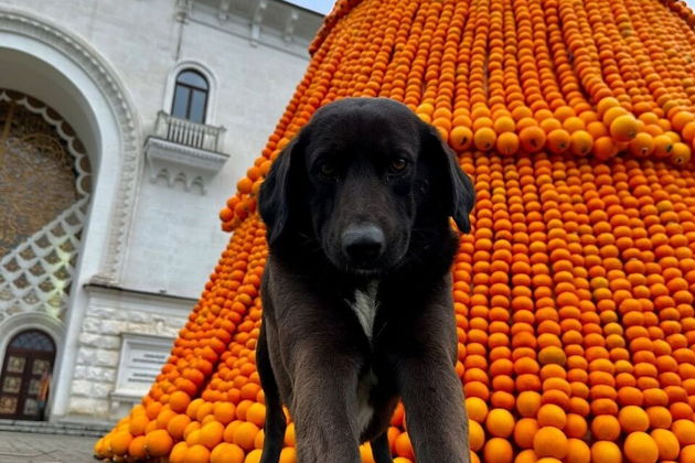 Фото экскурсии - Восточная Апсны: Сухум, термальный источник Кындык и мандариновый сад🍊 - 14