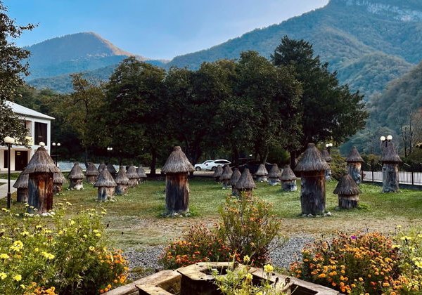  4 в 1: Гагра, Сухум, ущелье Черниговка и горячий источник Кындыг - фото 4