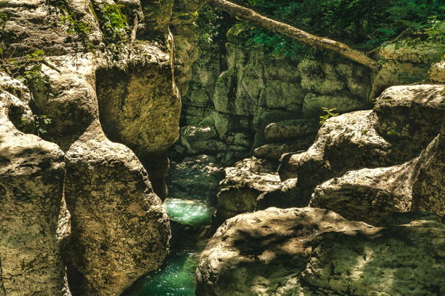 Фото экскурсии - Волшебство Сочи: открываем город с профессиональными экскурсоводами - 6