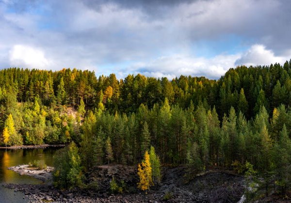 Водопад Кивач, вулкан Гирвас и Марциальные воды на автомобиле - фото 2