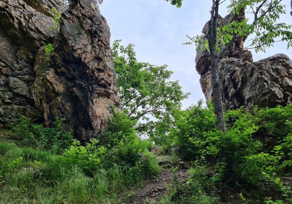 Покорение сопок Хабаровска - фото 2