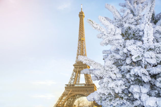 Фото экскурсии - Тур по главным шедеврам Лувра с приоритетным входом - 2