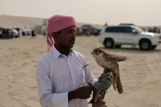 Фото экскурсии - Сафари на винтажных Ленд Роверах 50-х годов по заповеднику Аль-Мармум - 7