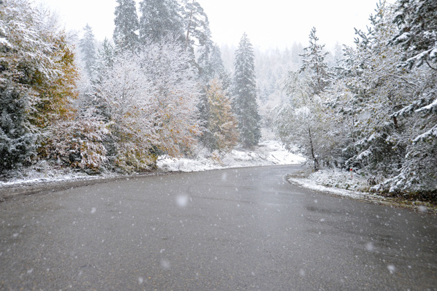 Фото - экскурсия: Вардзия: древние пещеры, крепостные стены и зеленые рощи Боржоми