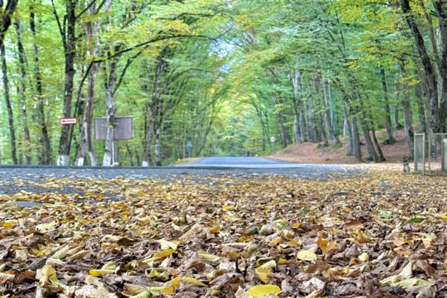 Фото - экскурсия: Куба — Жемчужина Кавказа