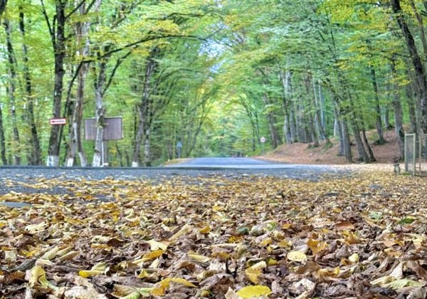Куба — Жемчужина Кавказа