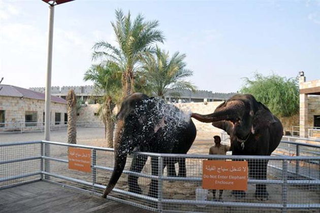 Зоопарк в Абу-Даби — Emirates Zoo-1