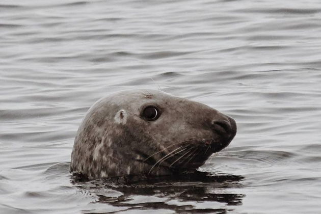 Фото экскурсии - Териберка: северная магия у самого края света - 5