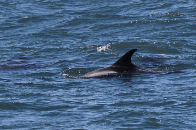 Фото экскурсии - Териберка: северная магия у самого края света - 9