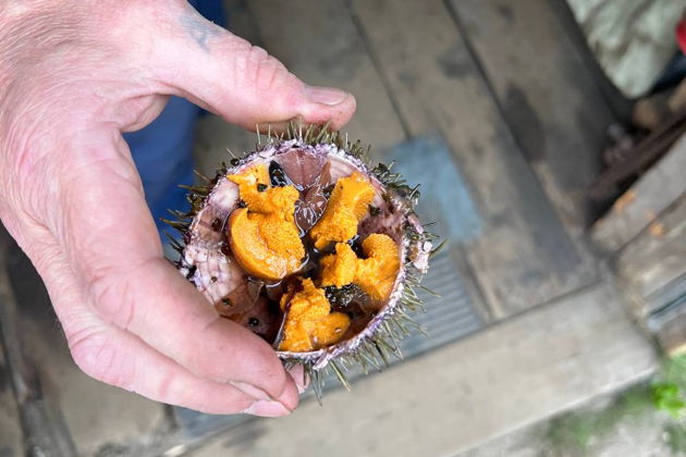 Фото экскурсии - Териберка: северная магия у самого края света - 13