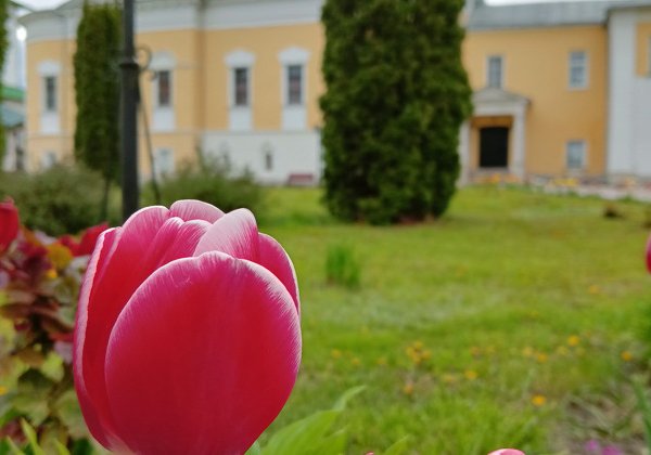 Храмы древней Коломны (на авто туристов)