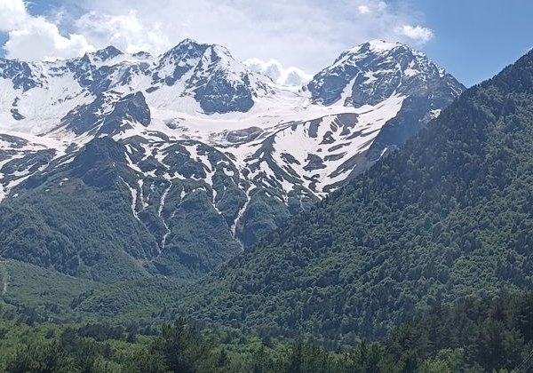 Удивительная и неповторимая Дигория - фото 3