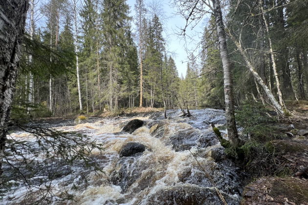 Фото экскурсии - Классический тур по Карелии: Рускеала и Сортавала - 13