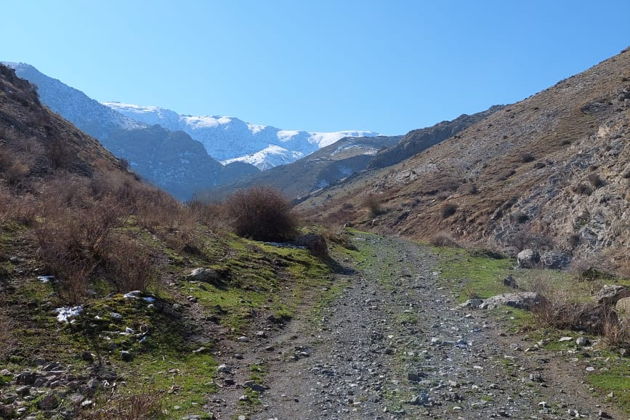 Экскурсия в горное село с ночёвкой в глэмпинге-5