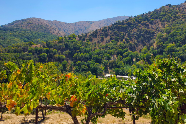 Фото - экскурсия: Экскурсия в горное село с ночёвкой в глэмпинге из Самарканда