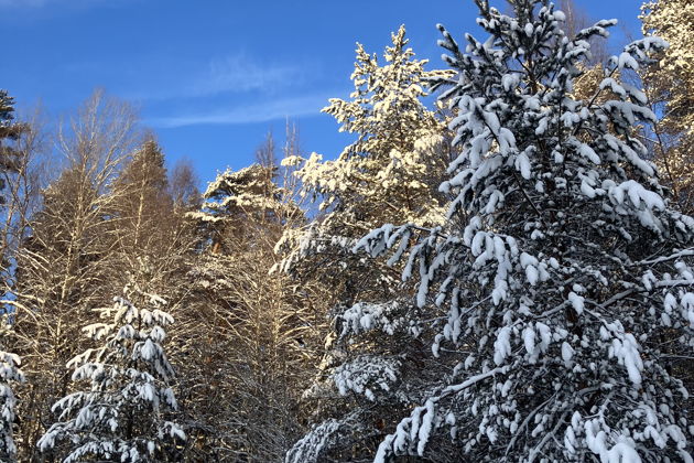 Фото экскурсии - Самостоятельное катание на российском снегоходе-45 минут драйва - 6