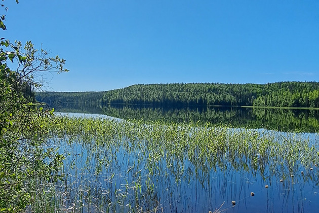 Фото - экскурсия: Экспедиция к озеру Товское в Архангельской области