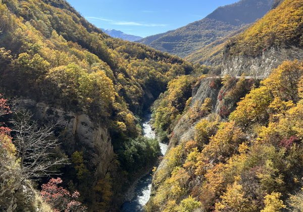 Знаменитое Аргунское ущелье и самые красивые мечети за один день - фото 2