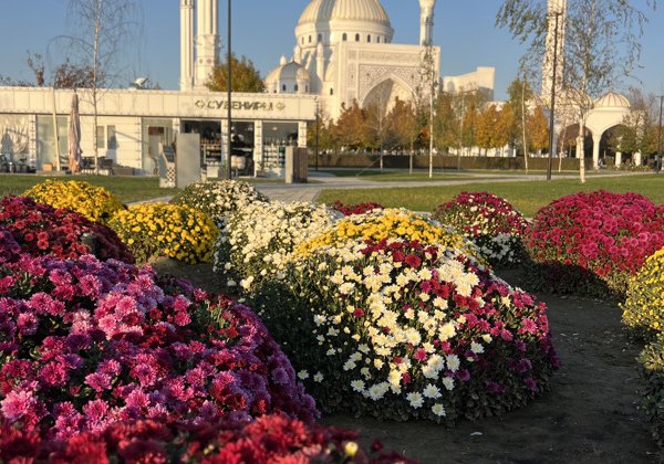 Знаменитое Аргунское ущелье и самые красивые мечети за один день