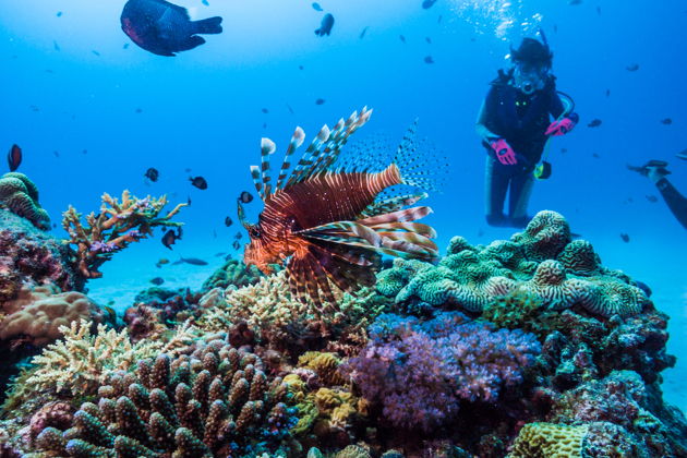 Фото экскурсии - Погружение в прозрачные морские глубины Аланьи - 5