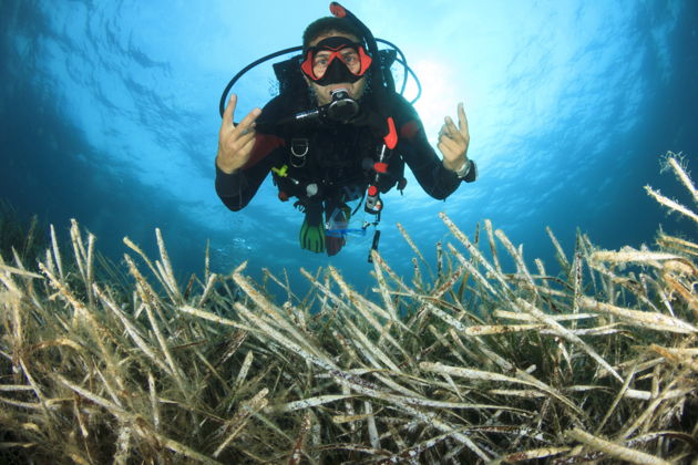 Фото экскурсии - Погружение в прозрачные морские глубины Аланьи - 8