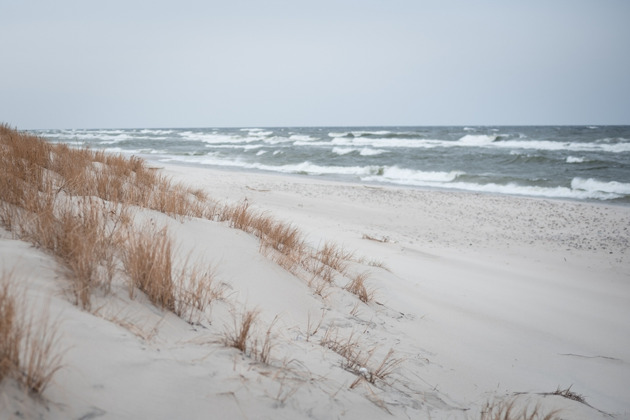 Фото - экскурсия: Экскурсия по Куршской косе с писателем бестселлеров без пробок и толпы