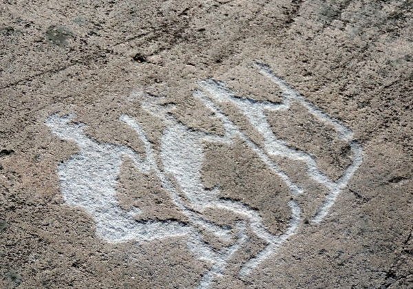 Незабываемая Карелия и Соловецкие острова - фото 3