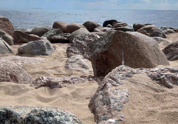 Приморский Парадиз: в Сестрорецк, Репино, Комарово и Зеленогорск  - фото 3