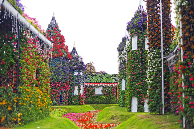 Парк цветов Miracle Garden и ярмарка Global Village-2