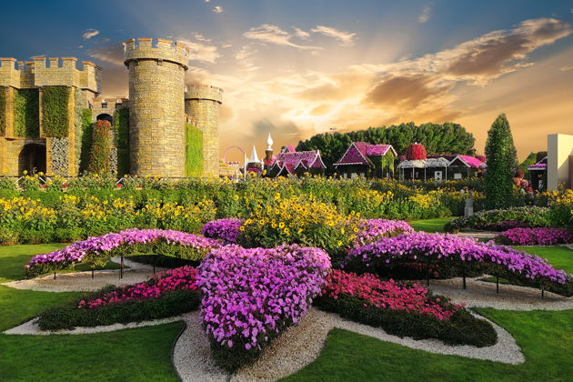 Парк цветов Miracle Garden и ярмарка Global Village-3