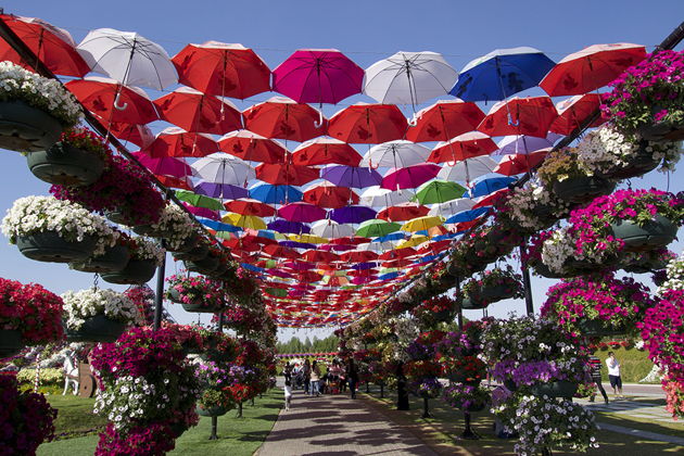 Парк цветов Miracle Garden и ярмарка Global Village-4