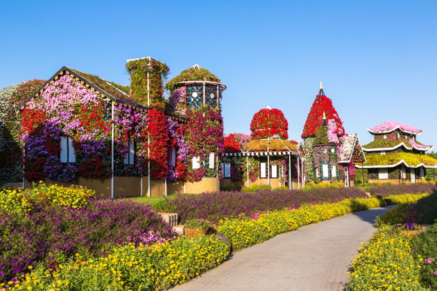 Парк цветов Miracle Garden и ярмарка Global Village-5