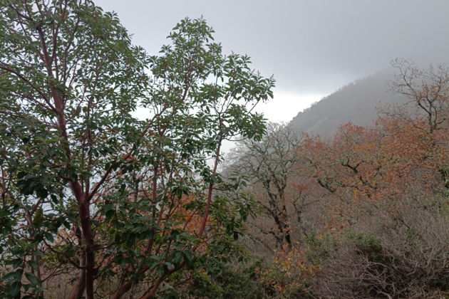 Фото экскурсии - Минералы и живописные бухты Аю-Дага - 7