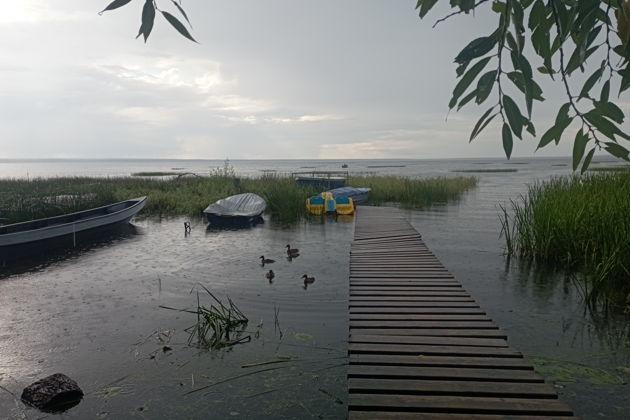 Фото экскурсии - Один день в Переславле-Залесском - 5